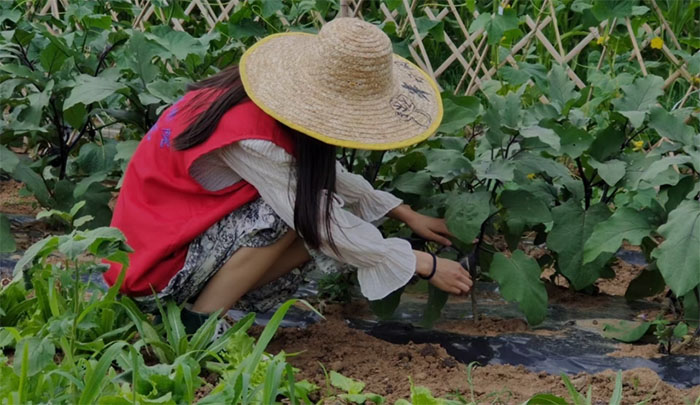 �|���W�������l�������r�����ջ��l��