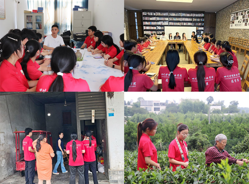 �����ഺ�x���l�� �tɫн���������� ����ˎ�Wϵ�����±����С����`꠸����´��_չ�������l��