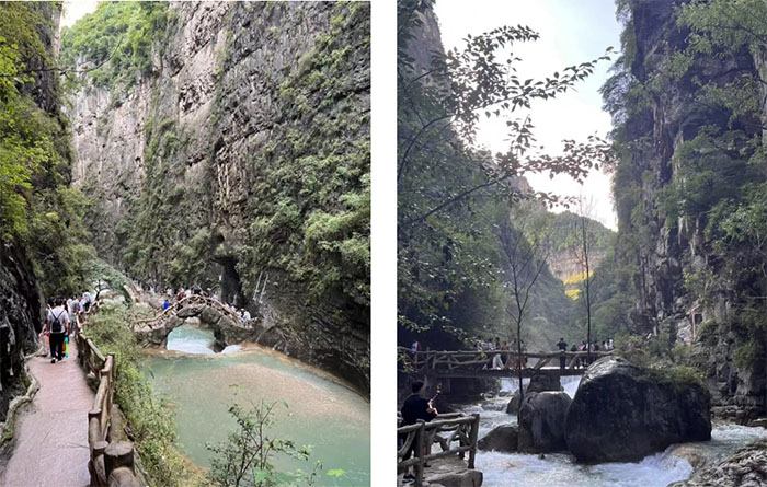 �Ӻ���W���������B�Ș��O ���I�L���Gɫ�lչ