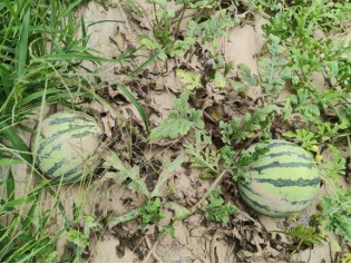 �ط����_��֮�I�����Ϲ�