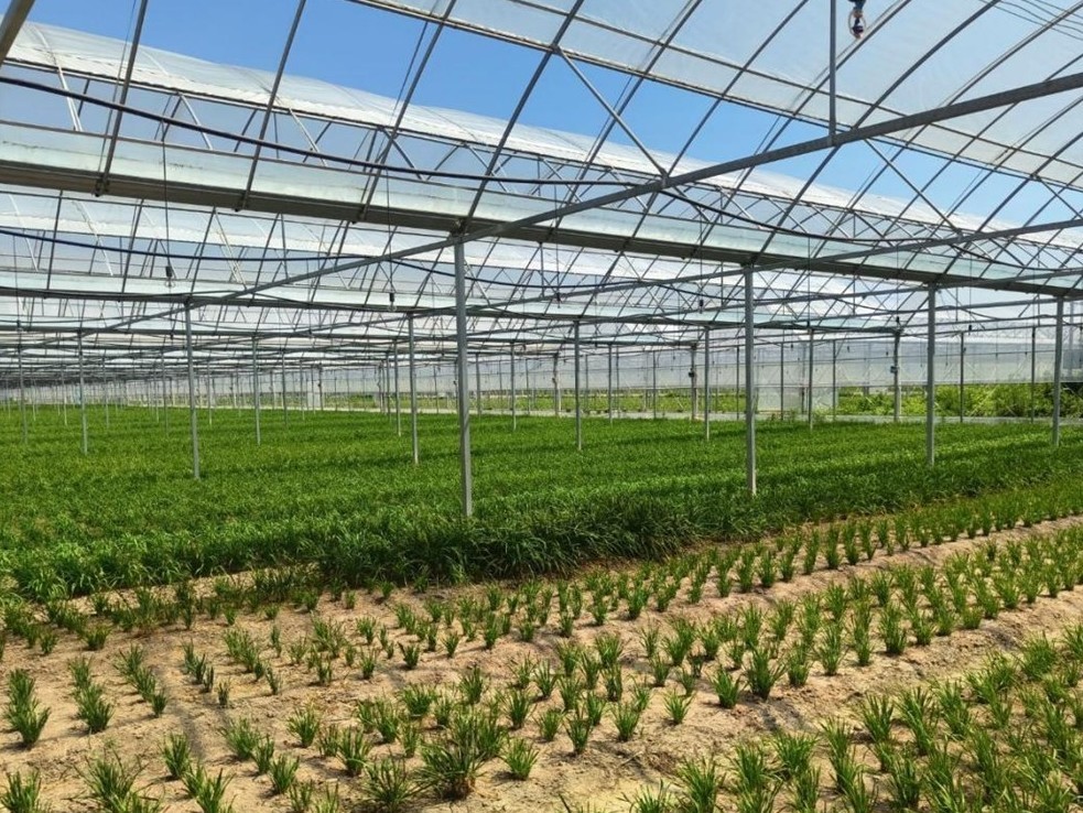 �������ϡ��Y(ji��)����(sh��)��(j��)���ˈ@����L(zh��ng)���ǻ�