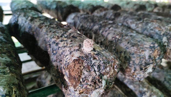 ���r�W�������l:�{�к�ꖿh��ͬ�L��ʳ�þ��a�Iʾ