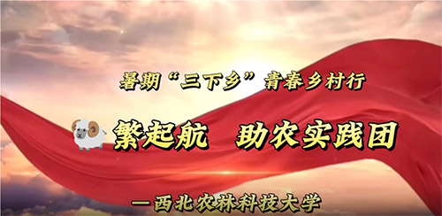 �ഺ���� ����