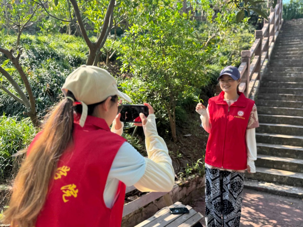 ����(�DƬ��)