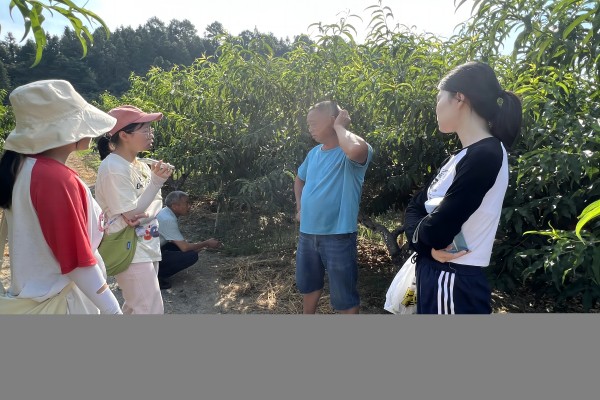 ���J���Mȡ�����l�����d