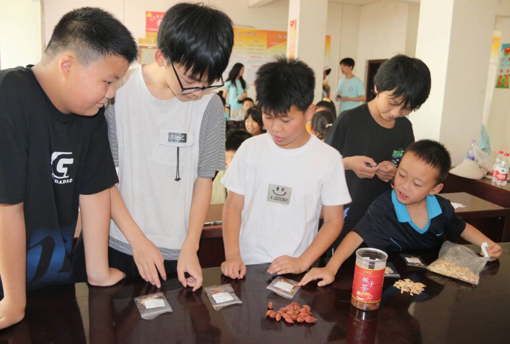 ���t���n�������w��Ǭ��