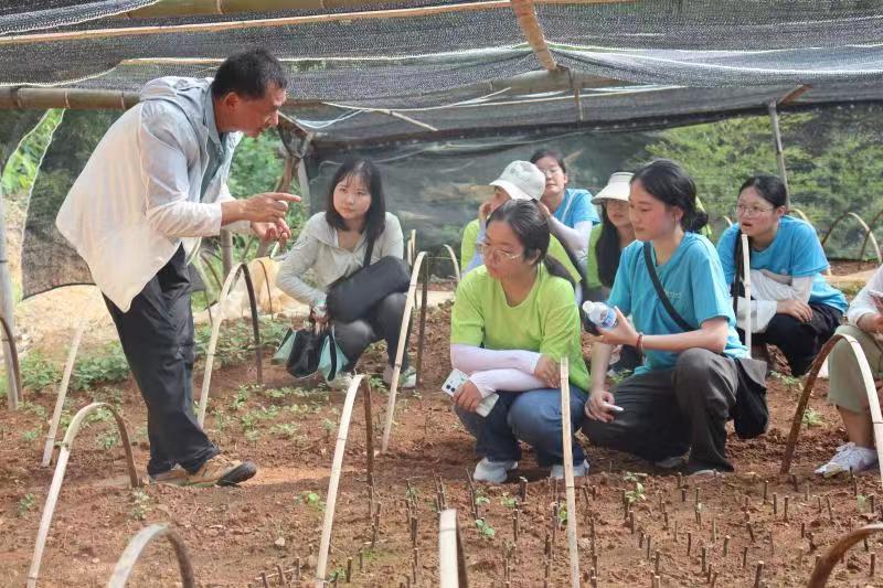 ���r(n��ng)�W(xu��)�������l(xi��ng)����(d��ng)���ഺ�y�ϡ����X݆�_ʼ�D(zhu��n)��(d��ng)