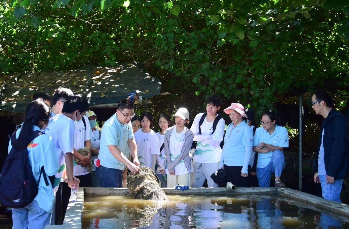 �������h | �ƏV����ؐ�����������������g