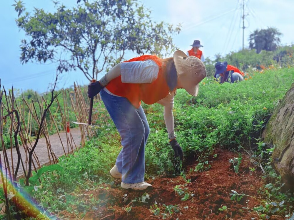 ����(�DƬ��)