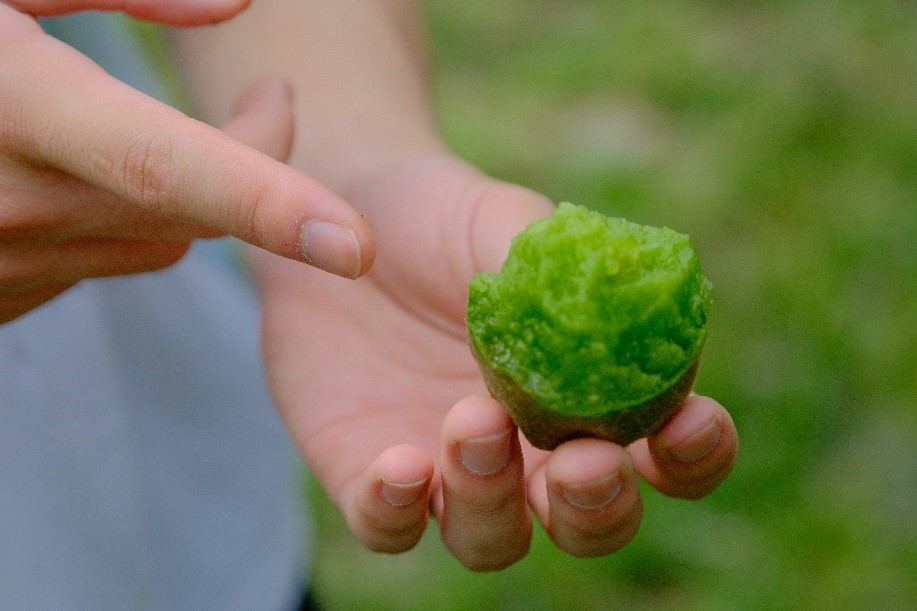 ɽ�|������W(xu��)����С�ࡱ���`�F���^ԴȪ�(zh��n)�J�����ǻۈ@�^(q��)