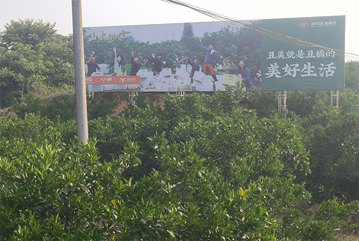 ����ʯ�ʹ�W(xu��)���l(xi��ng)�g���E���(du��)���Fţ�匍(sh��)���^��