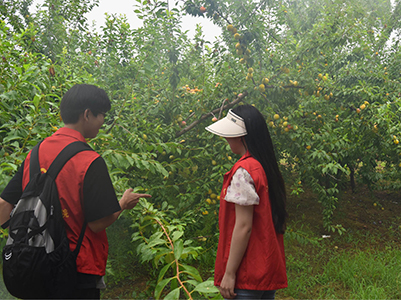 ���όW�������l:�����ഺ����c������֮·