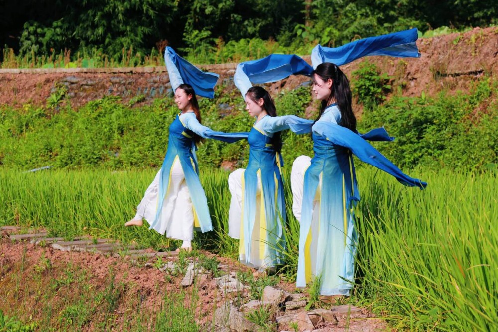 ����(�DƬʮ��)