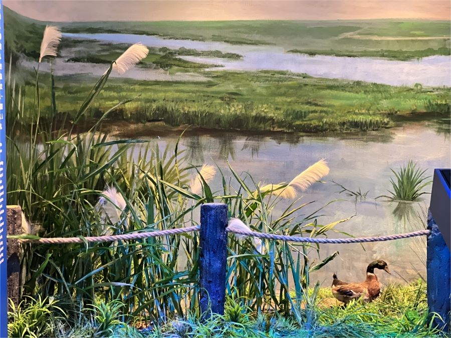 ���o(h��)����������M��Ԋ(sh��)���h(yu��n)��