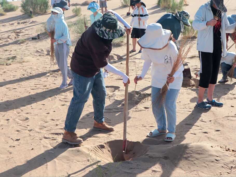 �Ϻ��W���س��� ��Į���d�ο�ɳ