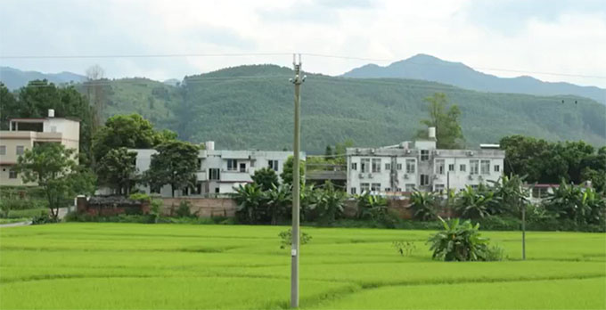 �����Pʼ�d�h���Ԑ�������֧�̌��`�F