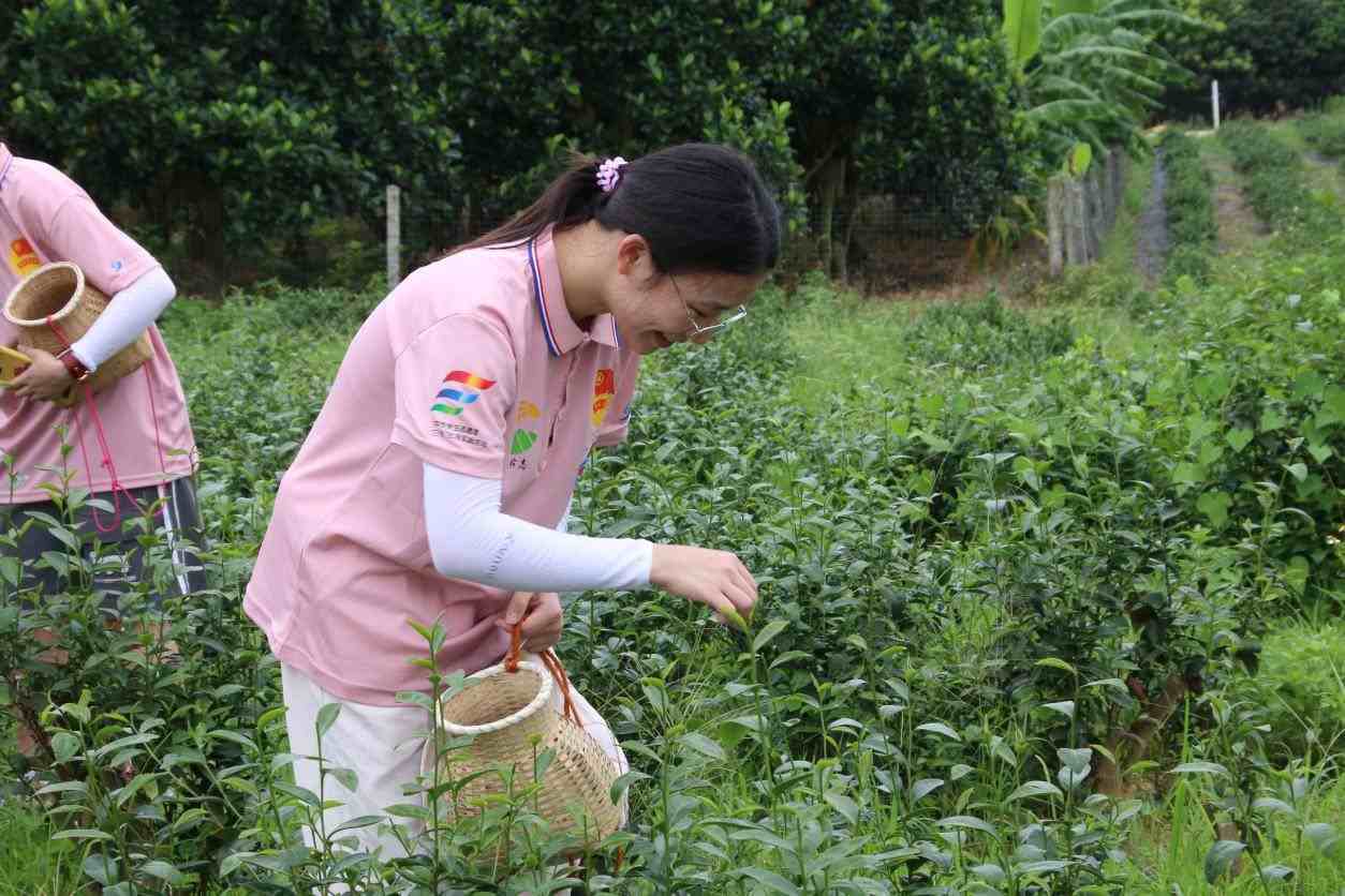 Ʒ������������Ļ����ţ�����W�����l�W���X�ϲ�