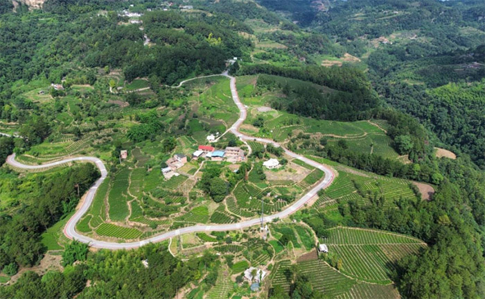 �ഺ�����l��·�����՟������d;