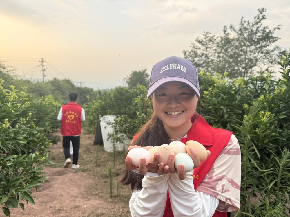 ����(�DƬʮ��)