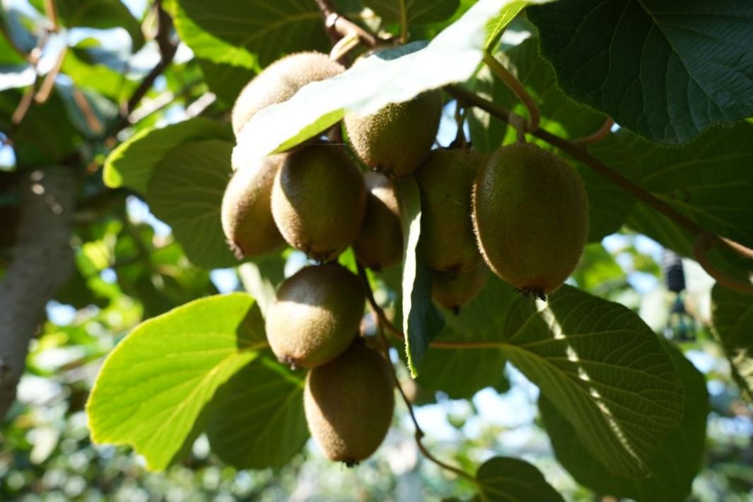 d16d8e7f7v67a8c28fd46049d7870689