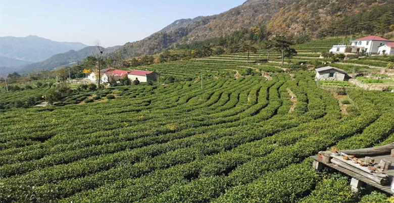 ���c������W�������ںϰl(f��)չ�{(di��o)�С�����������`�F