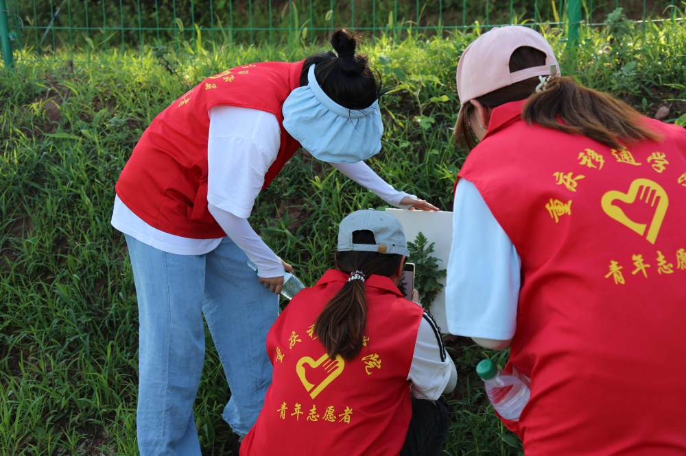 ���DƬ����