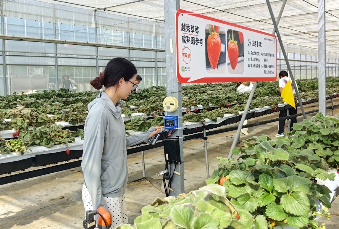 ���о��ǻ۴��＼�g(sh��)��� �ഺ�����x���l(xi��ng)�����d