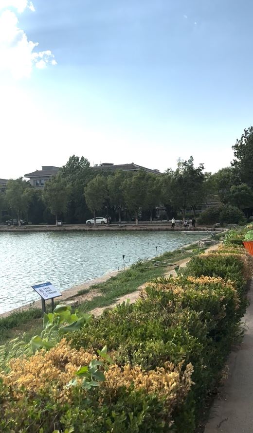 �Ї��V�I(y��)��W(xu��)����������з�Z�l(xi��ng)퍡�����������`�F��з�u�_չ������`���