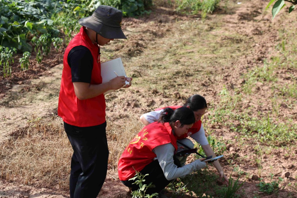 ����(�DƬ��)