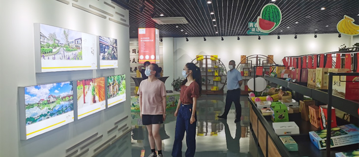 ������ɫɽ���������l���d