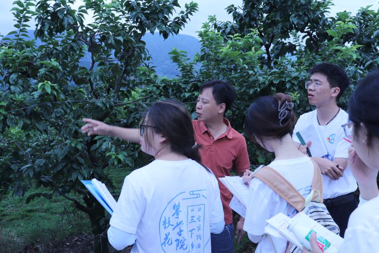 ��(sh��)�����I(l��ng)�������l(xi��ng)�������̡�����֦���W(xu��)Ժ��(sh��)����;���`Сꠌ��}�{(di��o)��