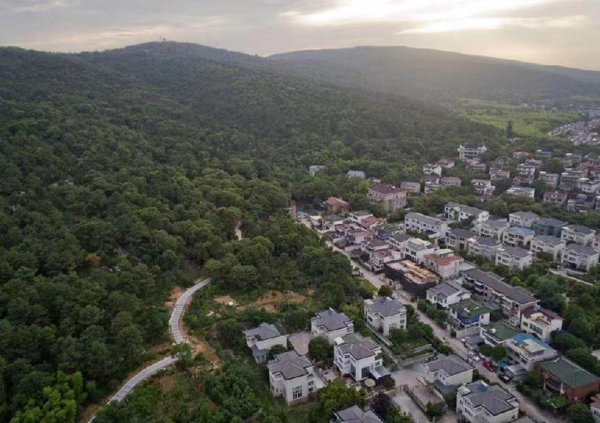 ��̼�����������δ��