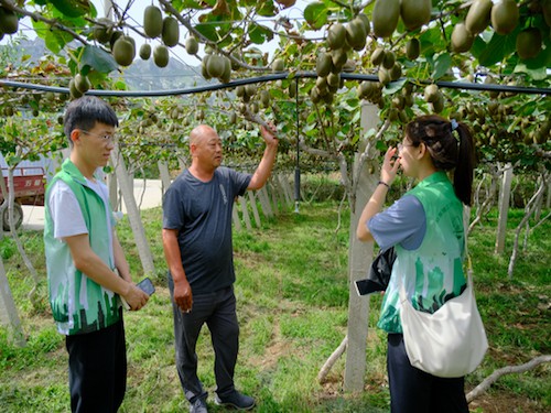 ɽ�|������W����С�ࡱ���`�F���LԴȪ悡����{�ЫJ������Ʒ�N�о�����