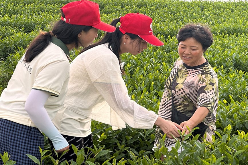 ��ؑ���S�С���(sh��)�`�(du��)������衲�@��һƬ�~���˄��¸������ܴa��