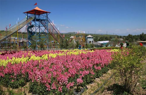 ���L�P������  ��Ғ����ʹ��