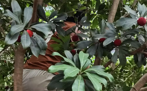 ����ʯ�ʹ�W(xu��)���Ժ���l(xi��ng)��(w��)�r(n��ng)����(w��)����������l(xi��ng)�������r(n��ng)