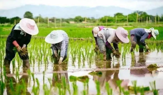 �ؑc�Ƽ���W(xu��)��ȫ���w���(hu��)��(sh��)�`�Ƅ�(d��ng)��ȫ��ʽ������