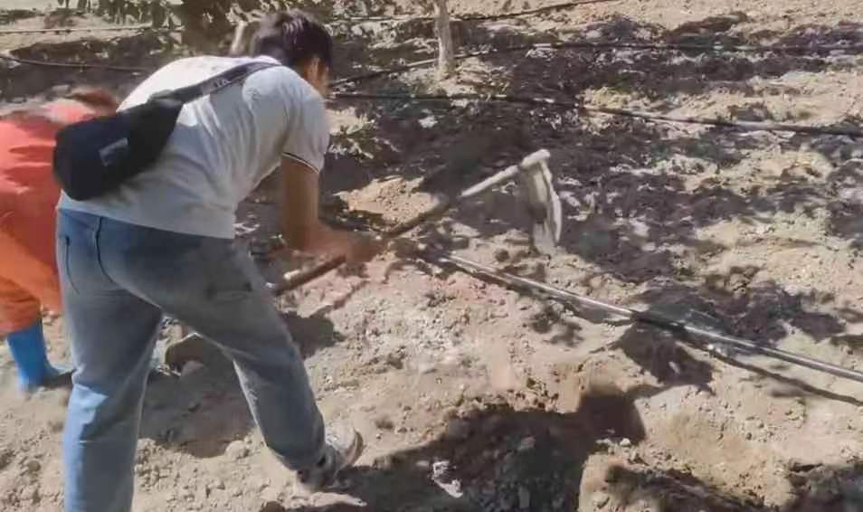 ������`���½��W�Ӱٴ��У��ĳǴ�W�Cе�c��܇��