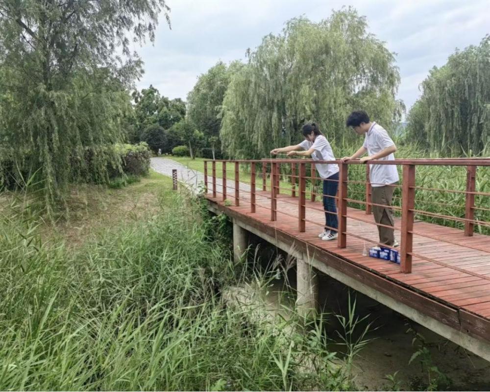 ��Ժ�W�������l���`��棺���ӡ���һ����̤�ϱ��l