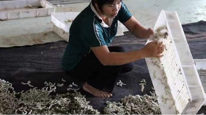 ���ϵ��Qɣ�Ļ�����ůÿһ���������