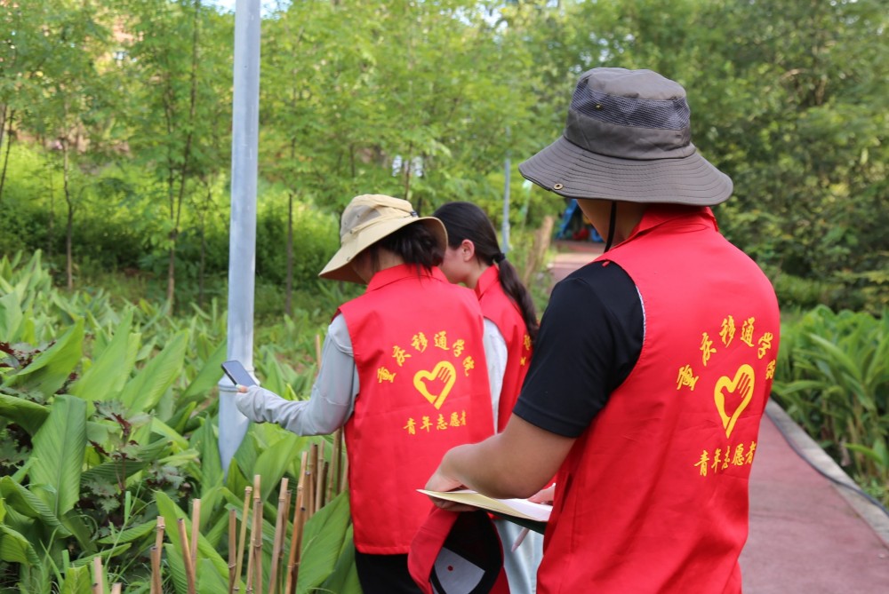 ���DƬ�ߣ�