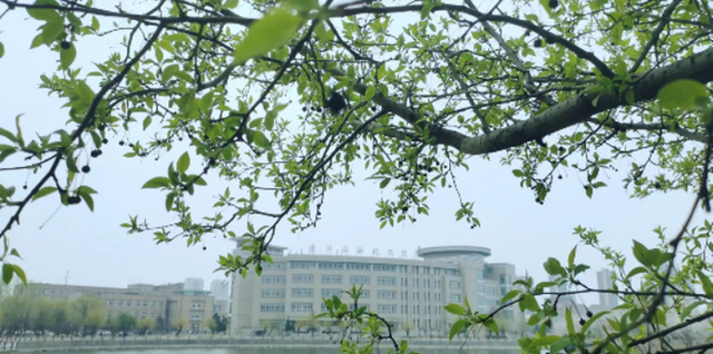 �|��ʯ�ͻ�����W���������깝(ji��)������Ƭ�����