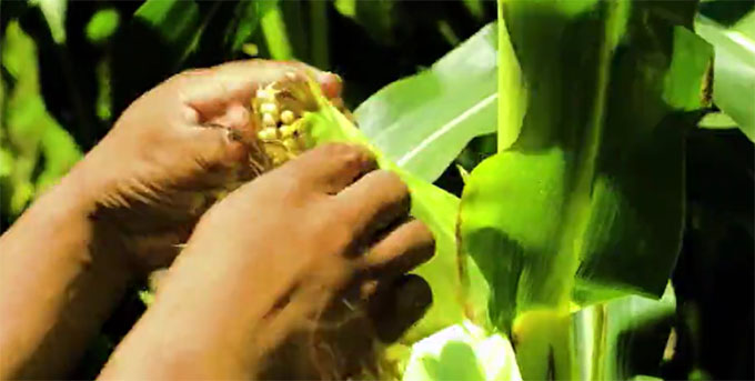 μ���(zh��n)���l(f��)��(j��ng)���������a(ch��n)�I(y��)���d��(chu��ng)������δ����