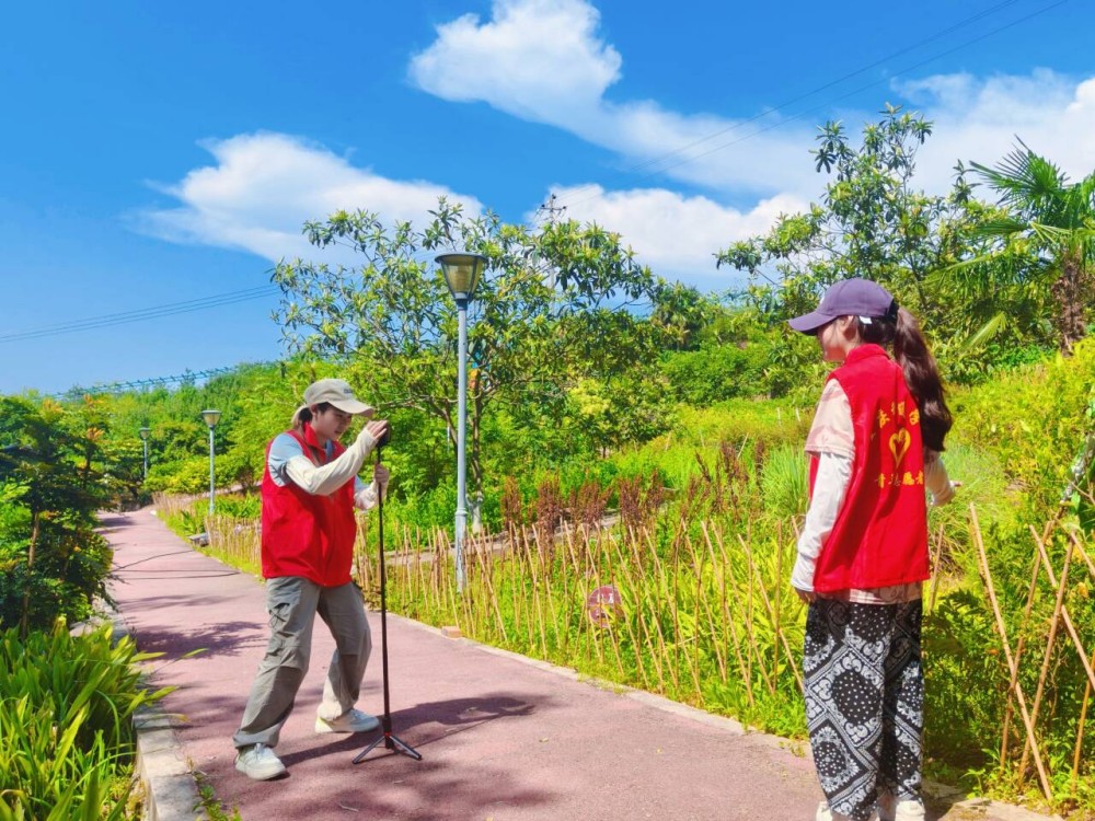 ����(�DƬ��)