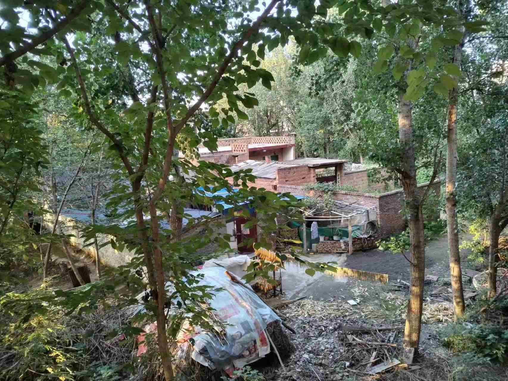 �����Ї����ഺ�Є�