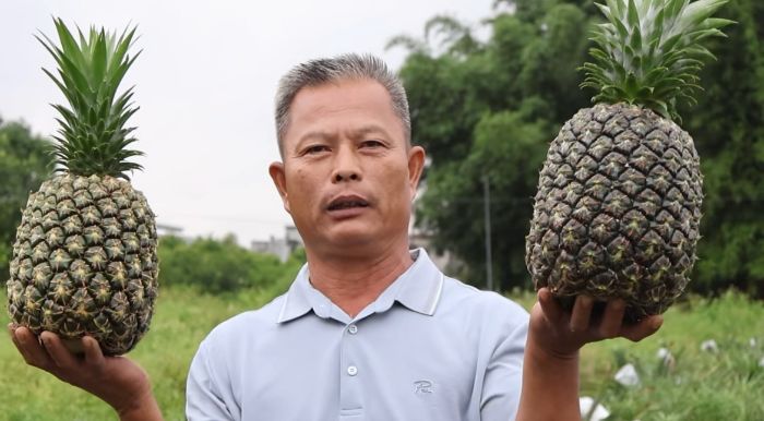 ��������ǰ��ĥ����ֻ��ֱ���߹⣡