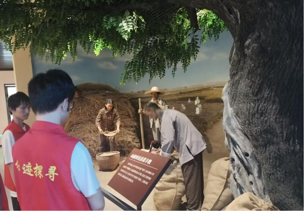 ���ՌW(xu��)�������l(xi��ng)���l(xi��ng)�����d���tɫ������̫��ɏ��ʢ