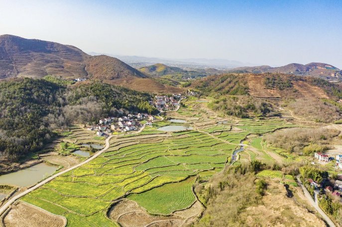 �����e�������F���Ϸʏ]���\ɽ�Ͻ֌��`���