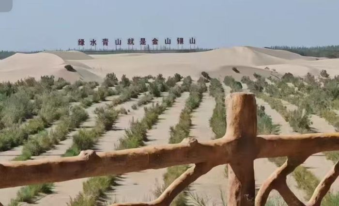 �ഺ����ɳ�����G�������ƌW�c���g�WԺ���������l���`�F̽�����w�ᡰ���B���������fͬ�lչ֮