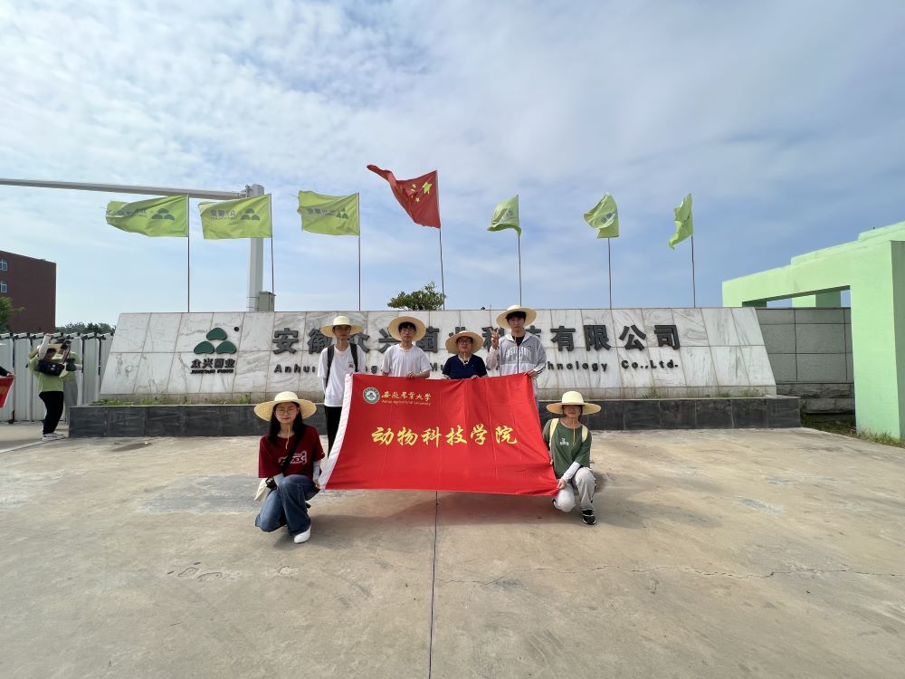 �����d���r�d���������c���l�����d